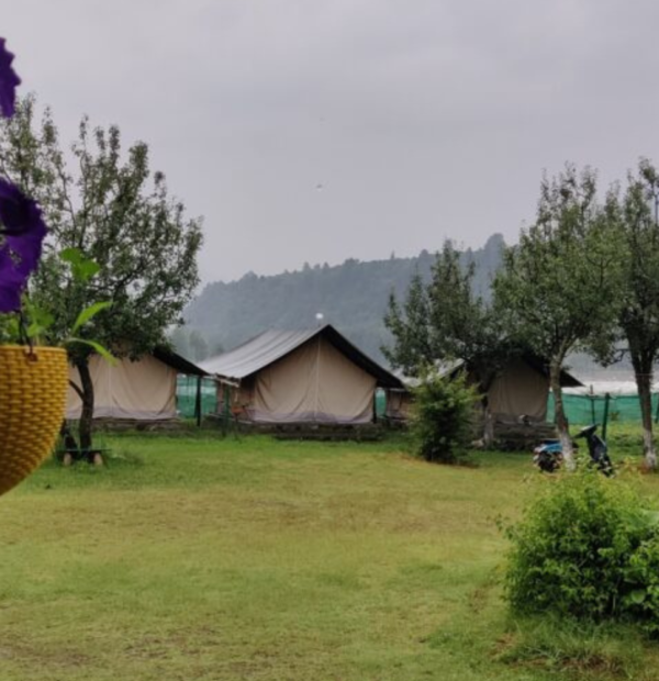 Green stays riverside campsite, Kullu-Manali