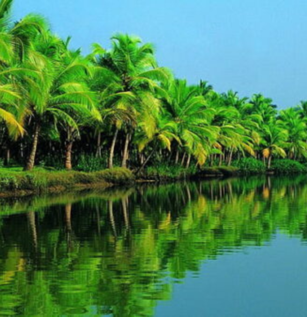 South Kerala Tour