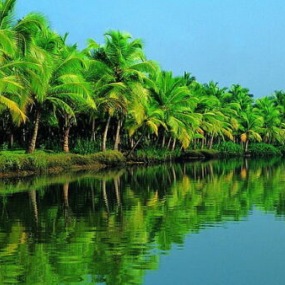 South Kerala Tour