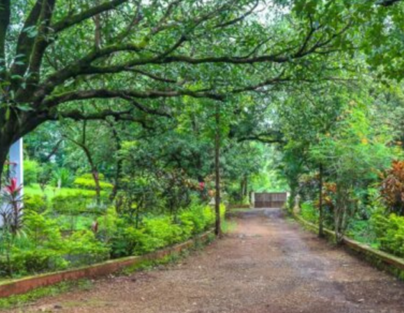 Mountain Explorers Maple Tree Villa, Karjat, Maharashtra