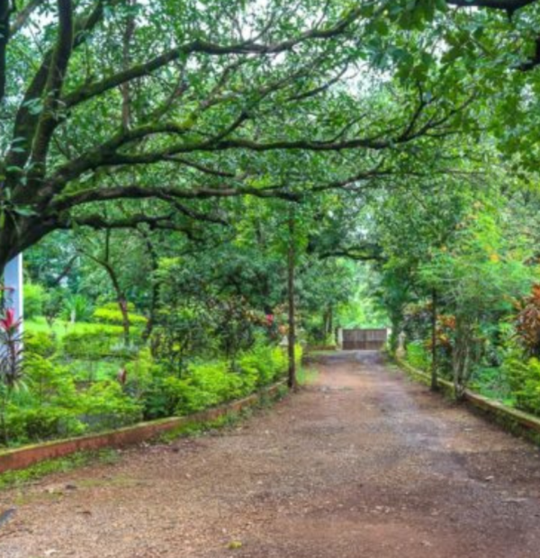 Mountain Explorers Maple Tree Villa, Karjat, Maharashtra